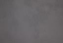 BUCKSKIN GREY