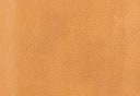 ACOMA TAN