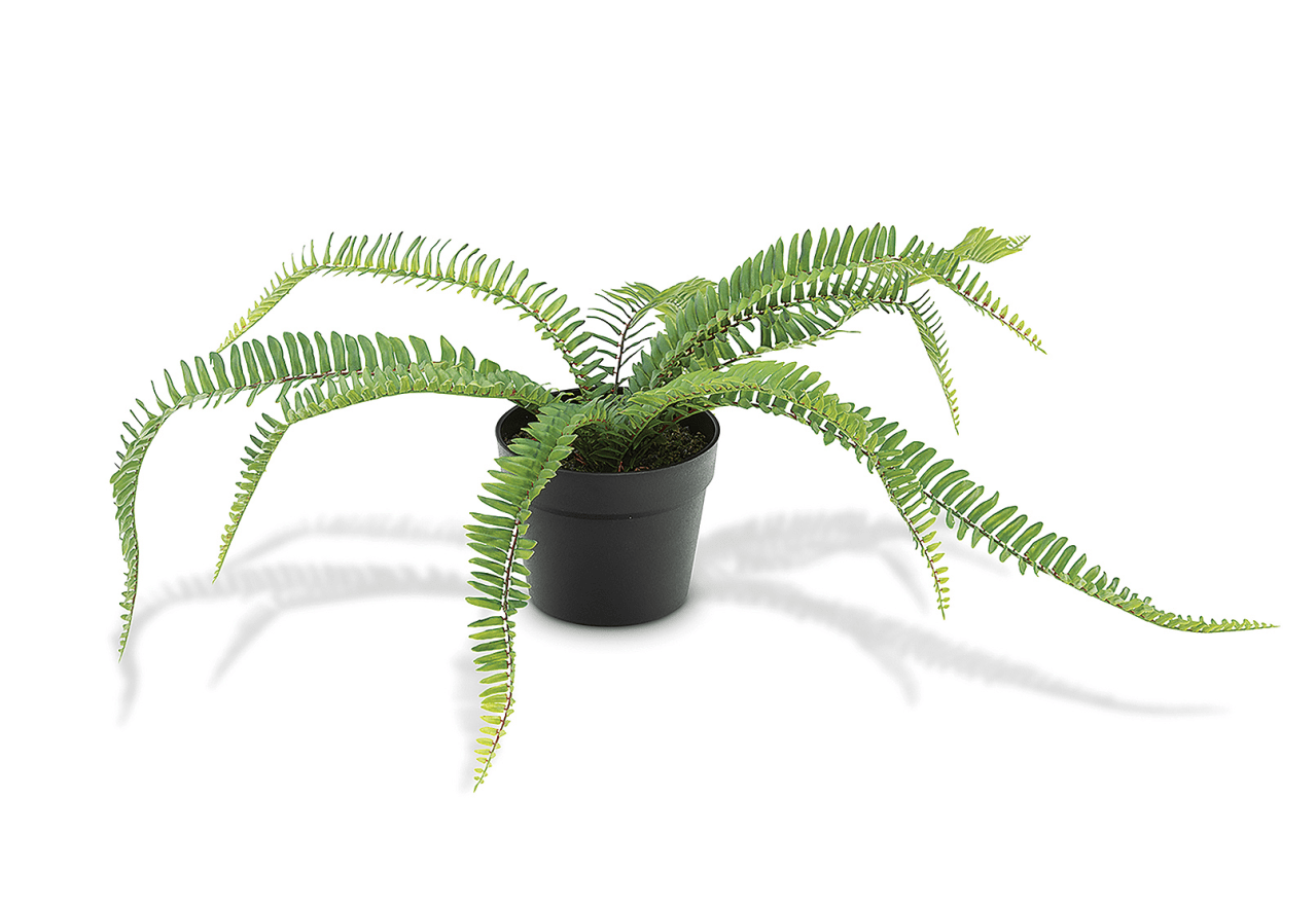 FAUX FERN Artificial Plant in Plastic Pot – image 1 of 1