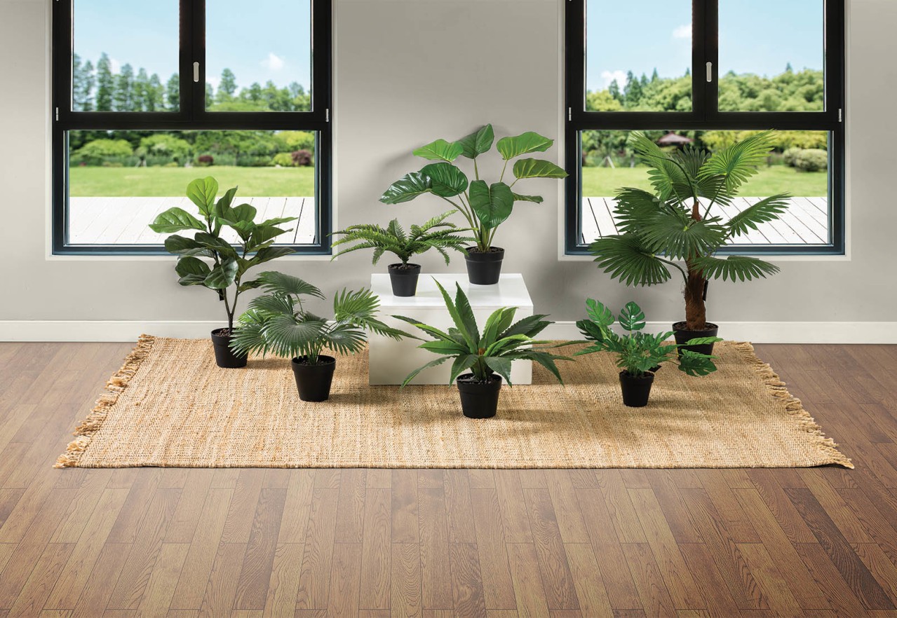 BLOSSOM 45cm Monstera with Pot – image 2 of 2