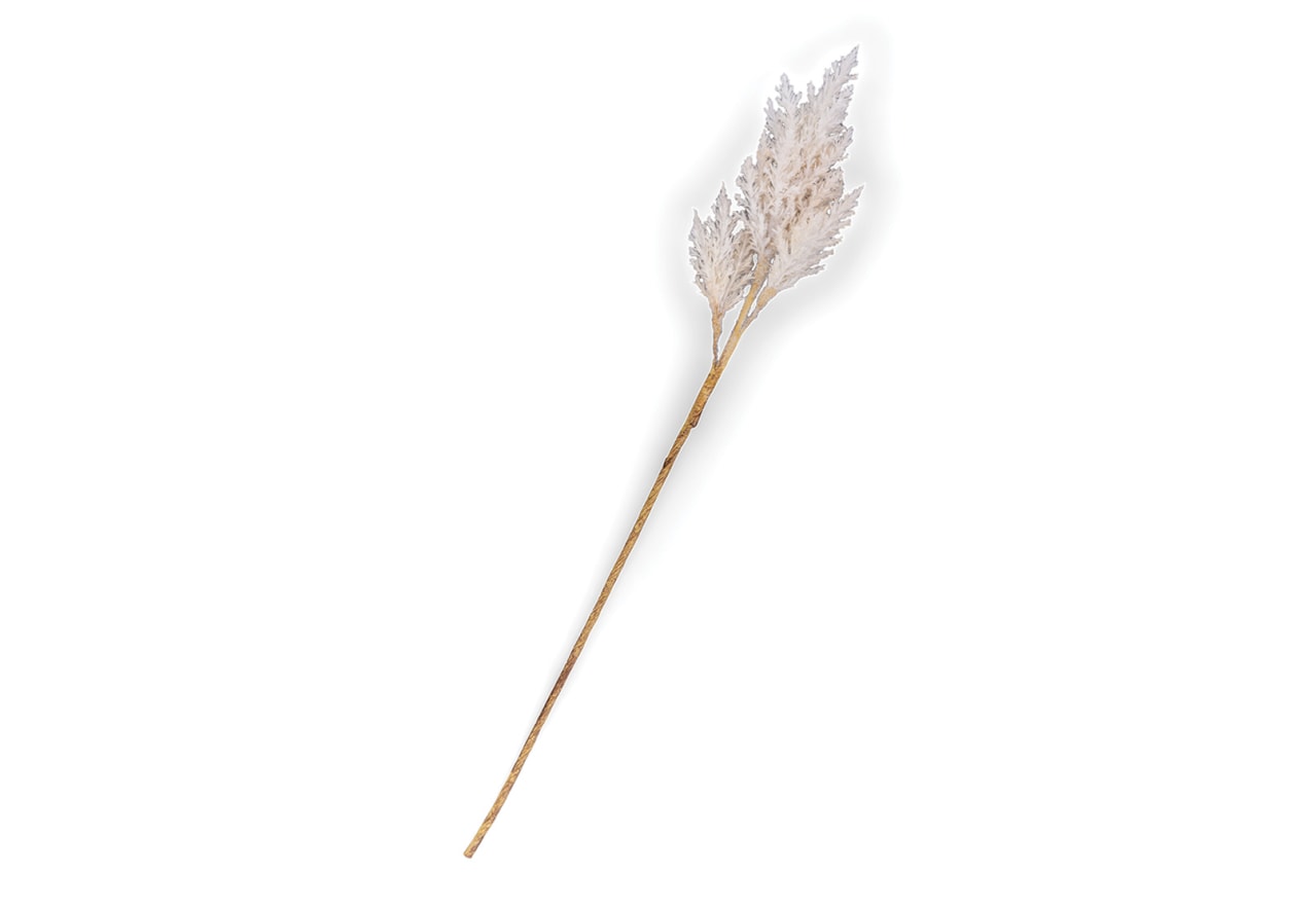 ASTILBE 82cm Stem – image 2 of 3