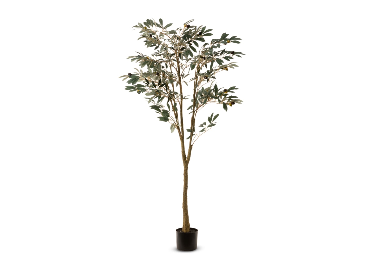 OLIVE TREE 120CM Tree – image 1 of 4