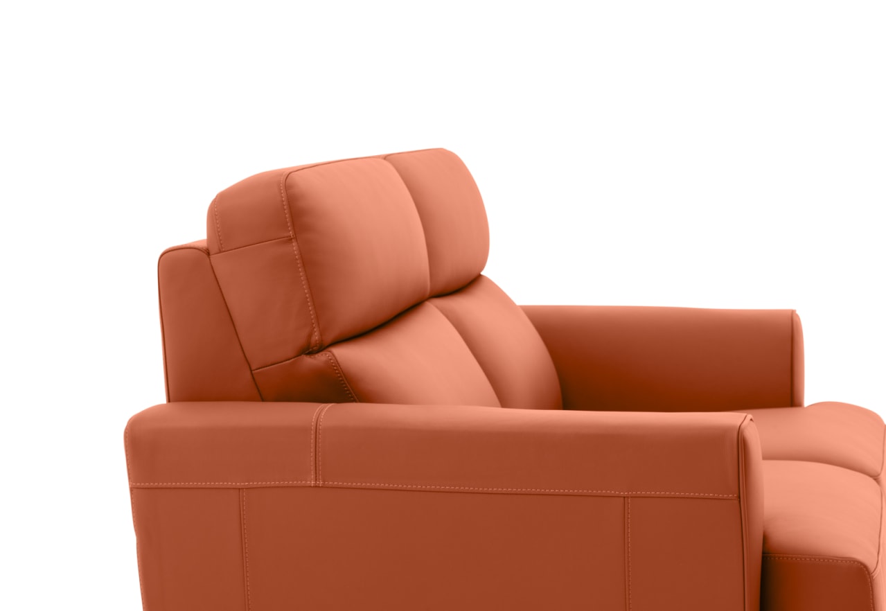 MONDRICH 2 Seater Sofa ( Leather) – image 4 of 9