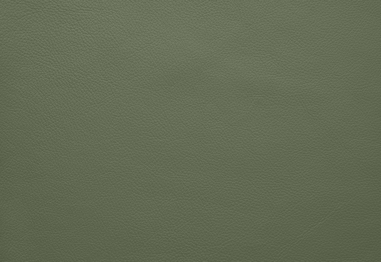 VANTRO CNR w Speaker CNS(Leather) – image 6 of 7
