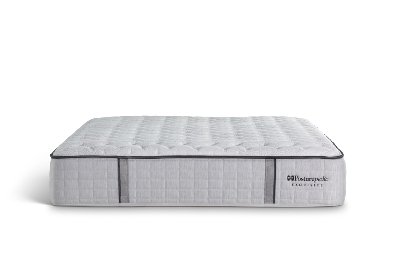 EXQUISITE SILVER Double Mattress – image 1 of 10