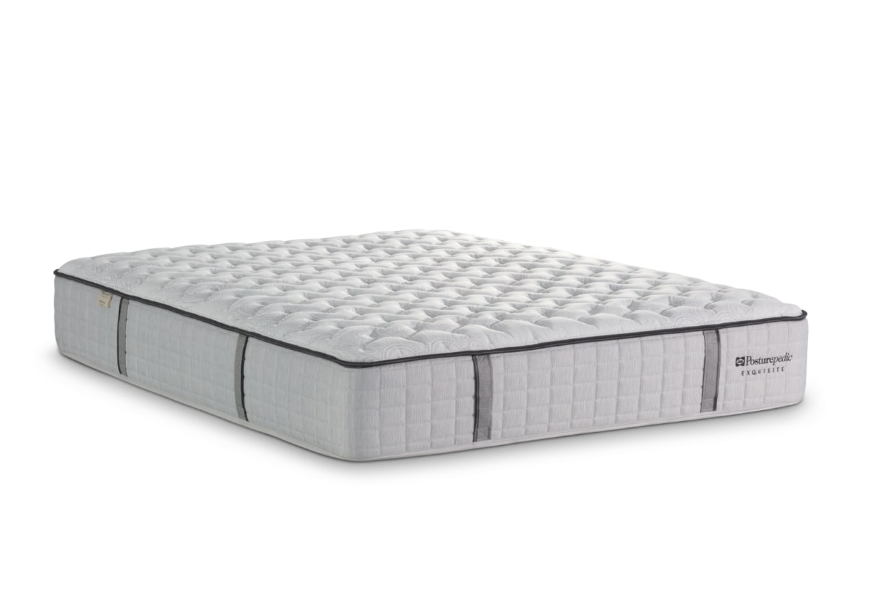 EXQUISITE SILVER FLEX King Mattress – image 5 of 9
