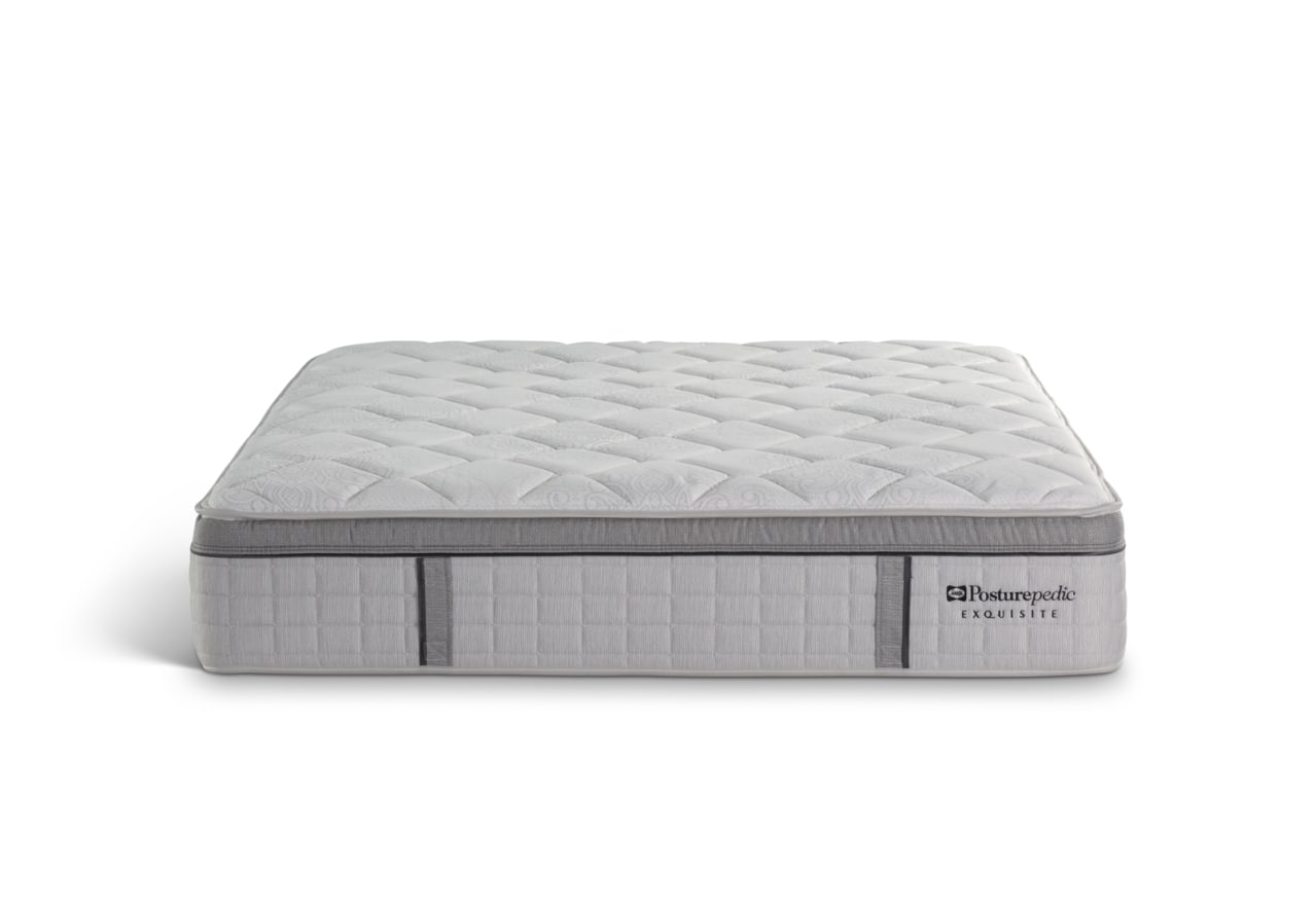 EXQUISITE SILVER FLEX Queen Mattress – image 5 of 13