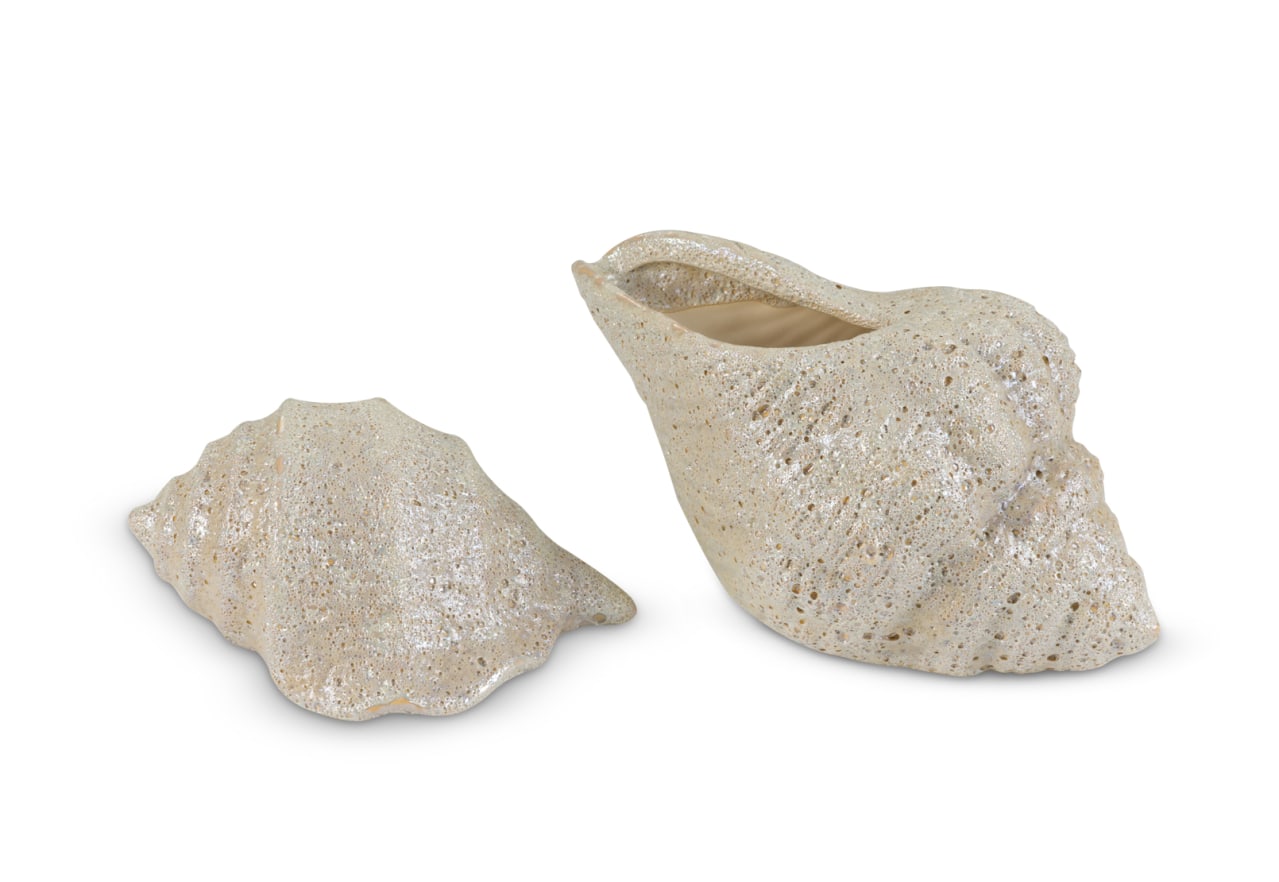 ECOSTRA CERAMIC Sea Shell 13cm – image 4 of 5