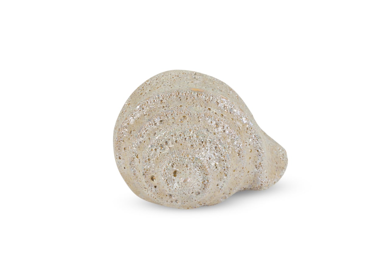 LEAFORA CERAMIC Sea Shell 9cm – image 4 of 6