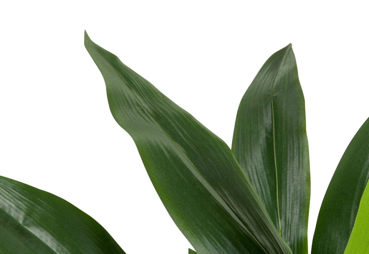ASPIDISTRA Artificial Plant 60CM – image 3 of 4