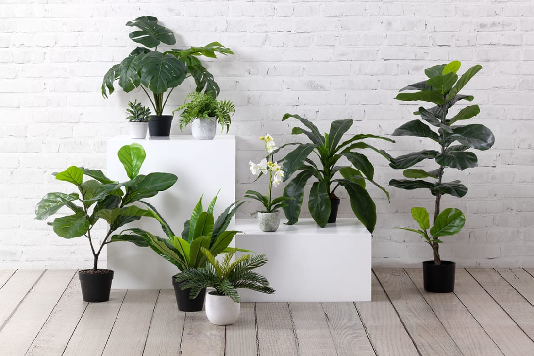 8 on-trend ideas for decorating your rental