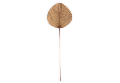 YANA 150cm Deco Leaf