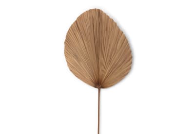 YANA 150cm Deco Leaf