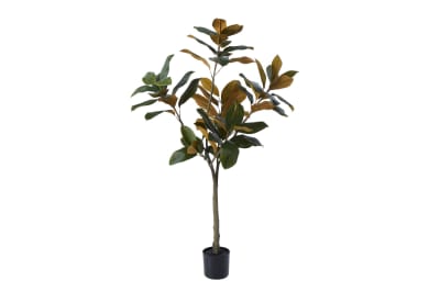 NOLIA TREE 122CM Tree