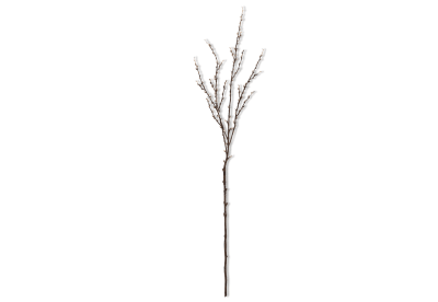 ARTIFICIAL SNOWFALL Bud Branch