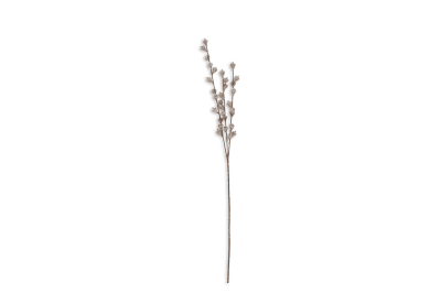 PALORA Eucaluptus Gumnut Spray