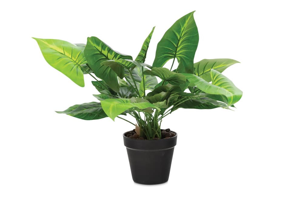 CALLA Artificial Plant