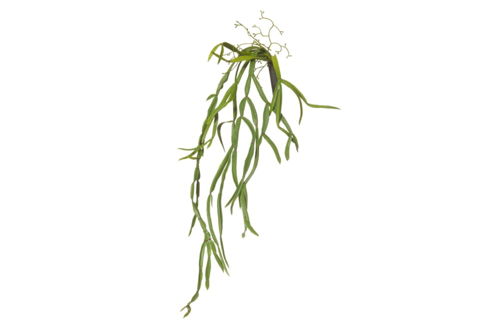 RHIPSALIS VINE Faux Plant