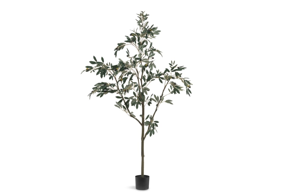 TREZA Treza Olive Faux floor Tree 180cm with Berries