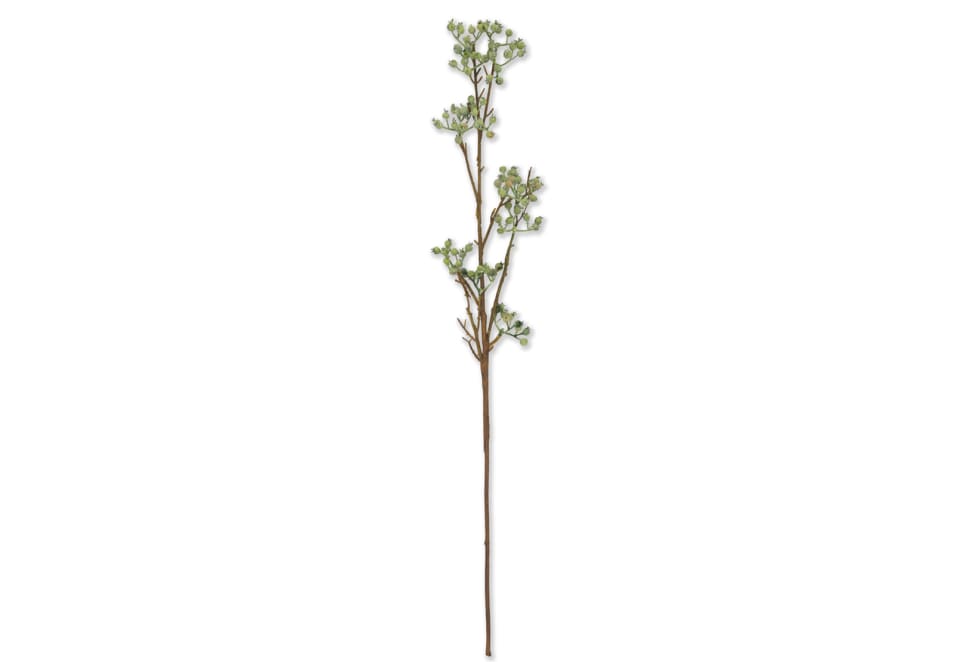SPINDRA BERRIES SPRAY
