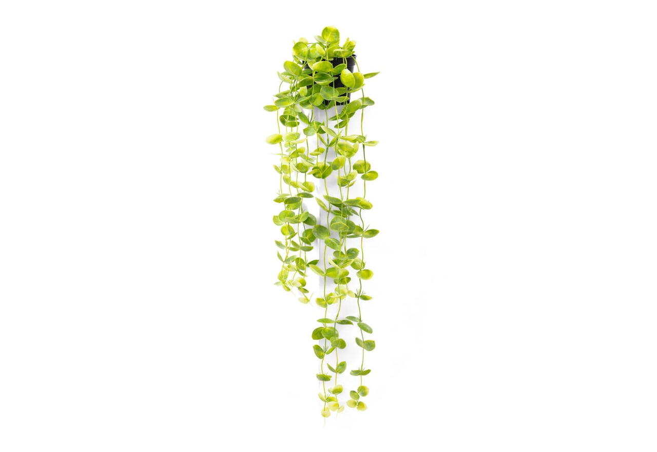 COIN LEAF 90cm Hanging Pot – image 2 of 4