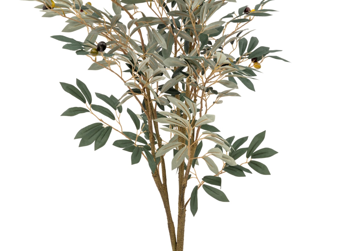 OLIVE TREE 150CM Tree – image 2 of 4