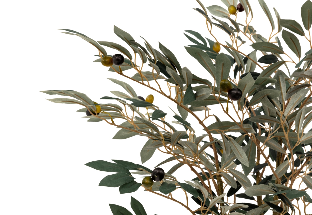 OLIVE TREE 150CM Tree – image 3 of 4
