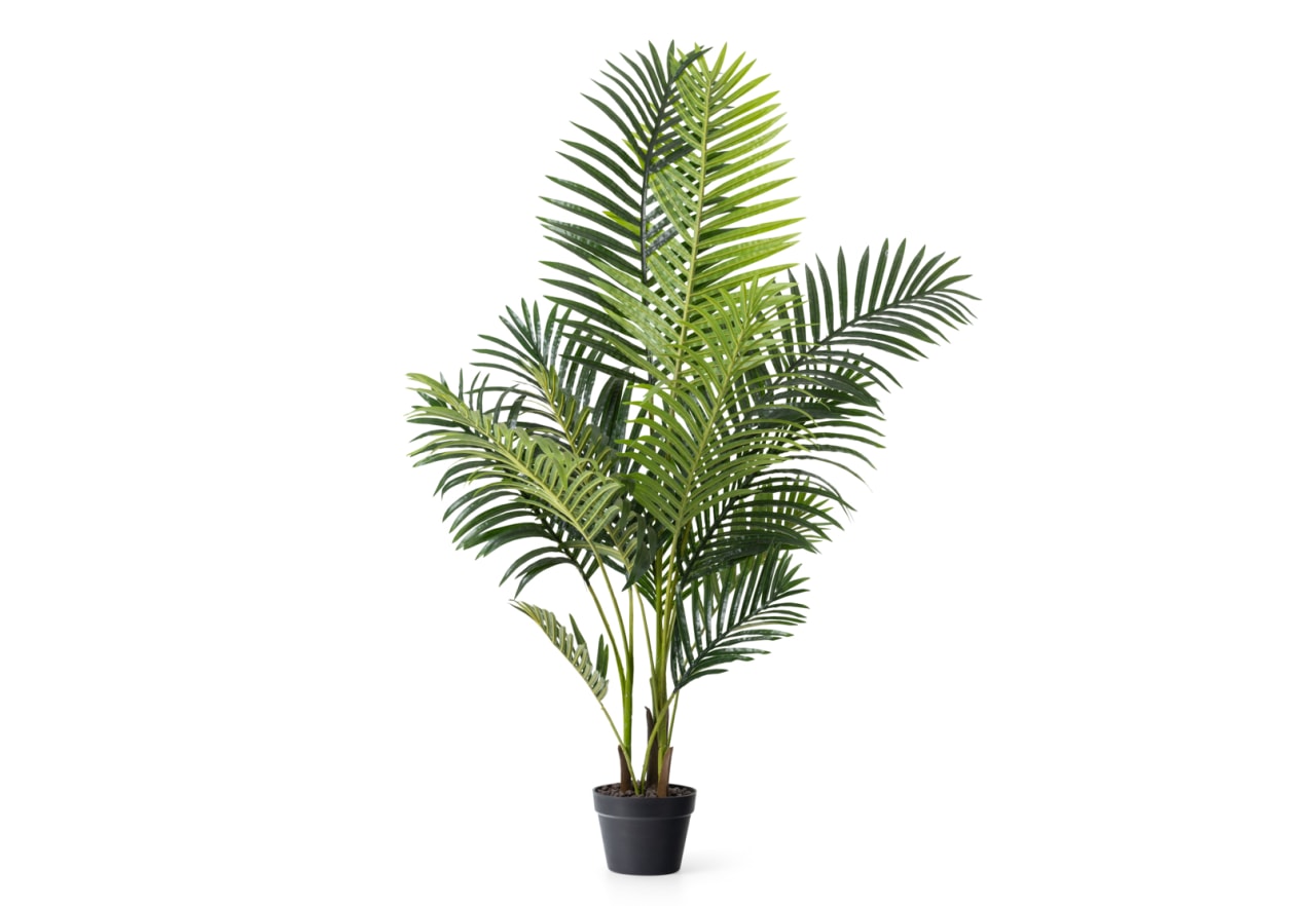 PALM TREE 90CM Tree � – image 2 of 3