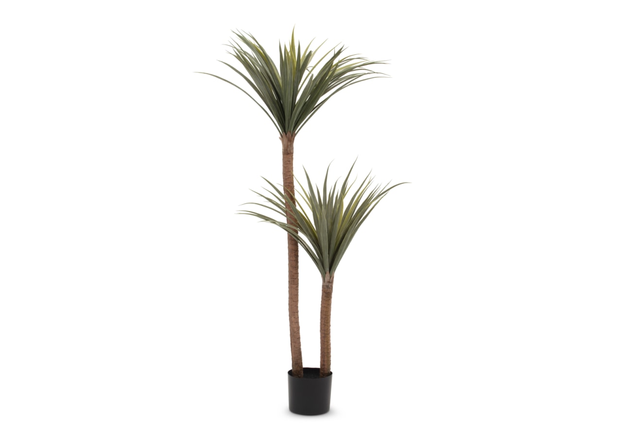 DRACAENA TREE 140CM – image 1 of 3