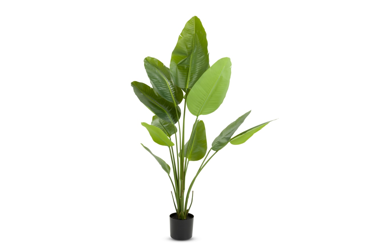 SYLPHA Traveller Palm Faux Floor Plant 180cm – image 1 of 4