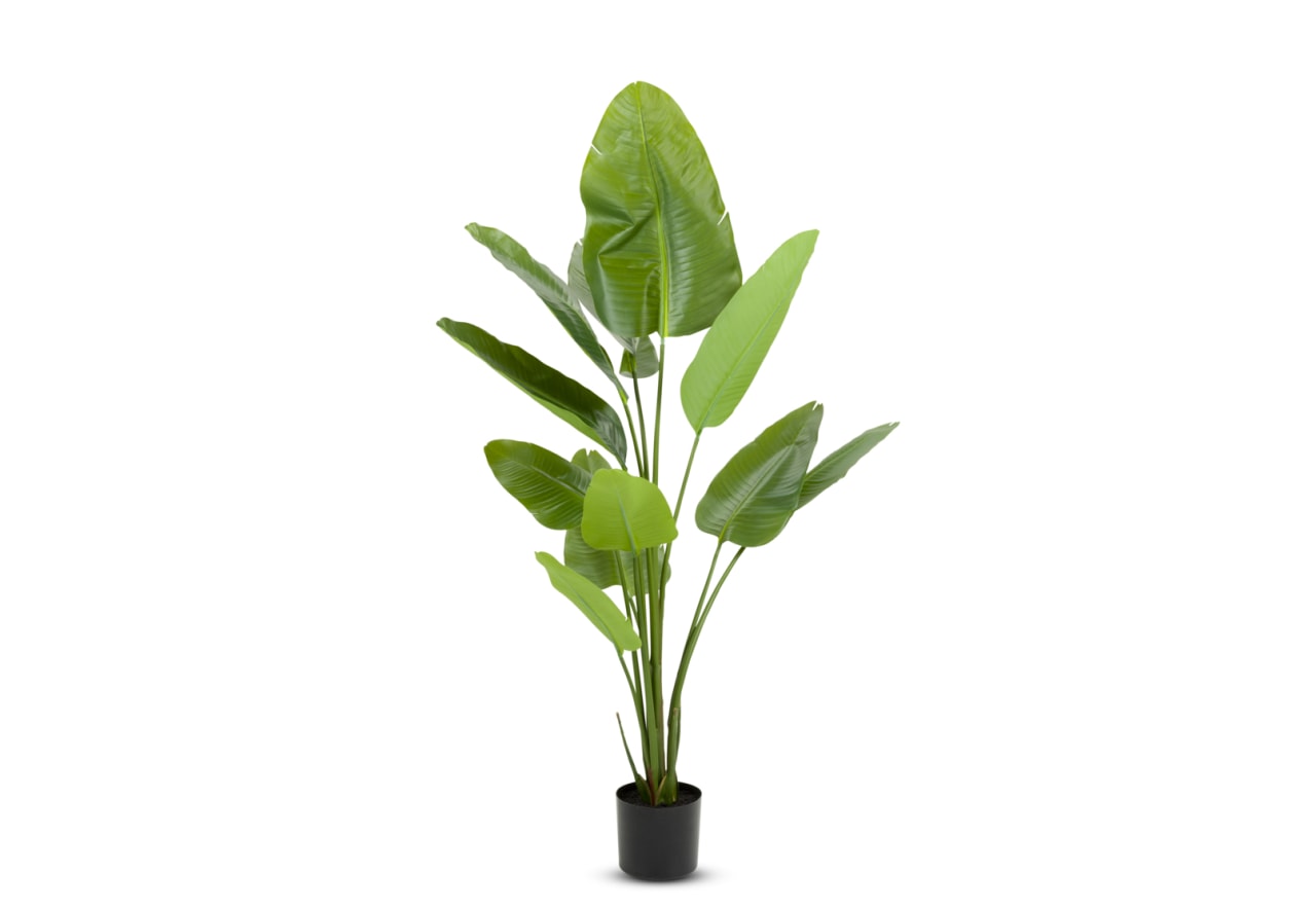 SYLPHA Traveller Palm Faux Floor Plant 180cm – image 2 of 4