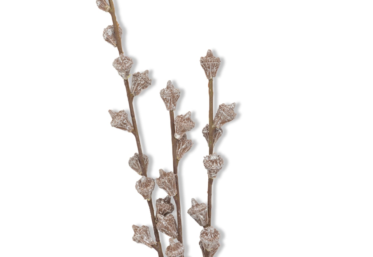 PALORA Eucaluptus Gumnut Spray – image 3 of 3