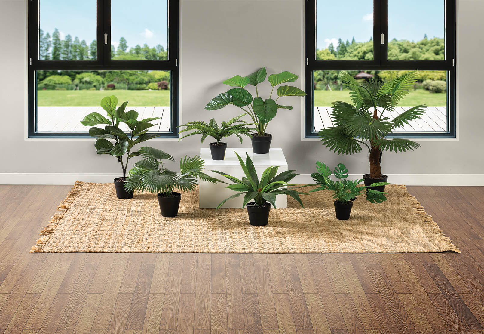 BLOSSOM 50cm Birds Nest Fern with Pot – image 2 of 2