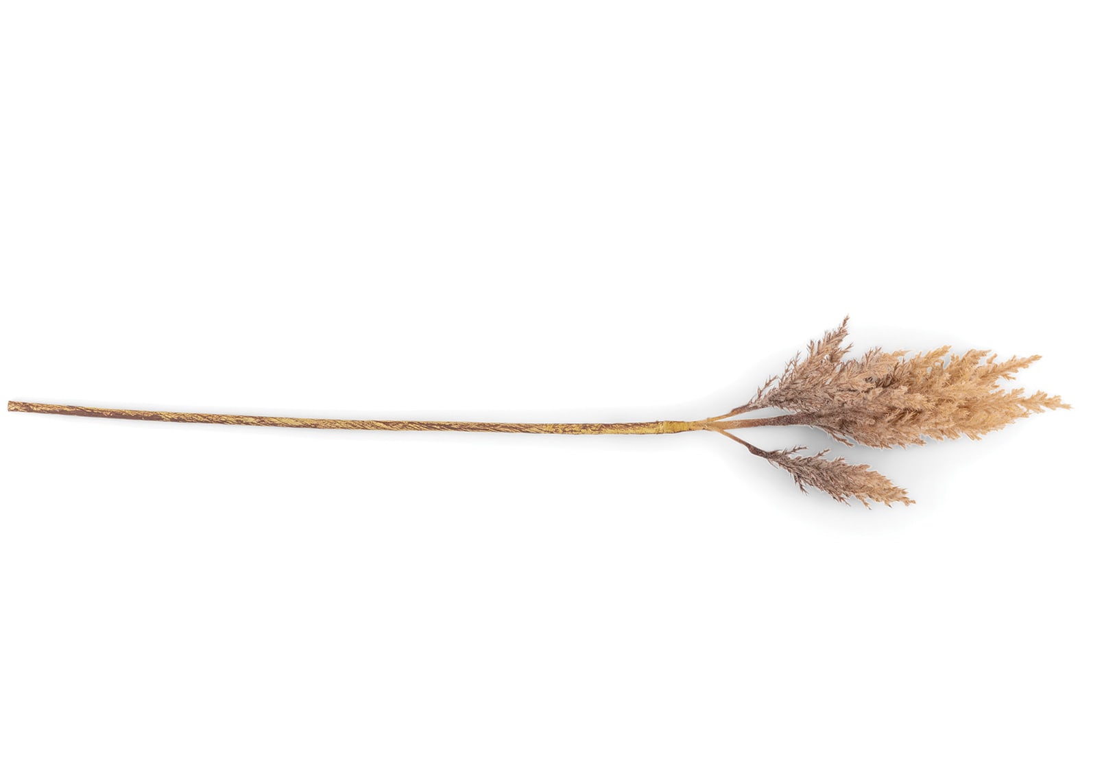 ASTILBE 82cm Stem – image 2 of 3