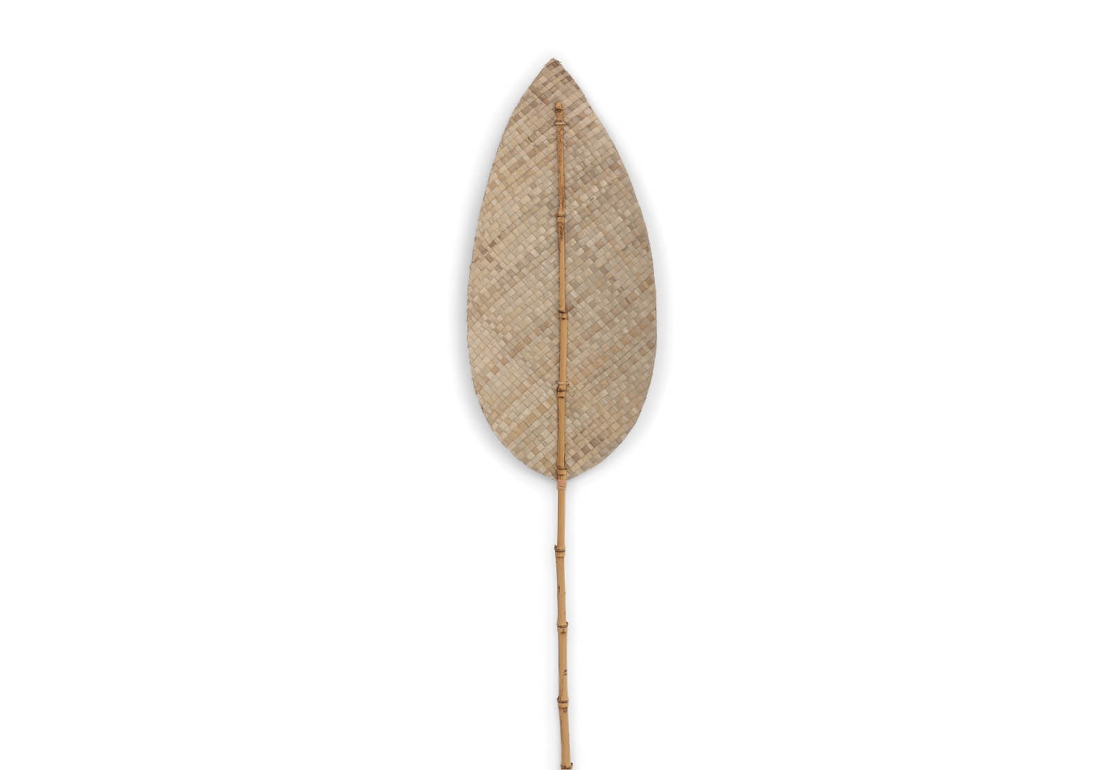 ANWAR 180cm Natural Deco Leaf – image 3 of 8