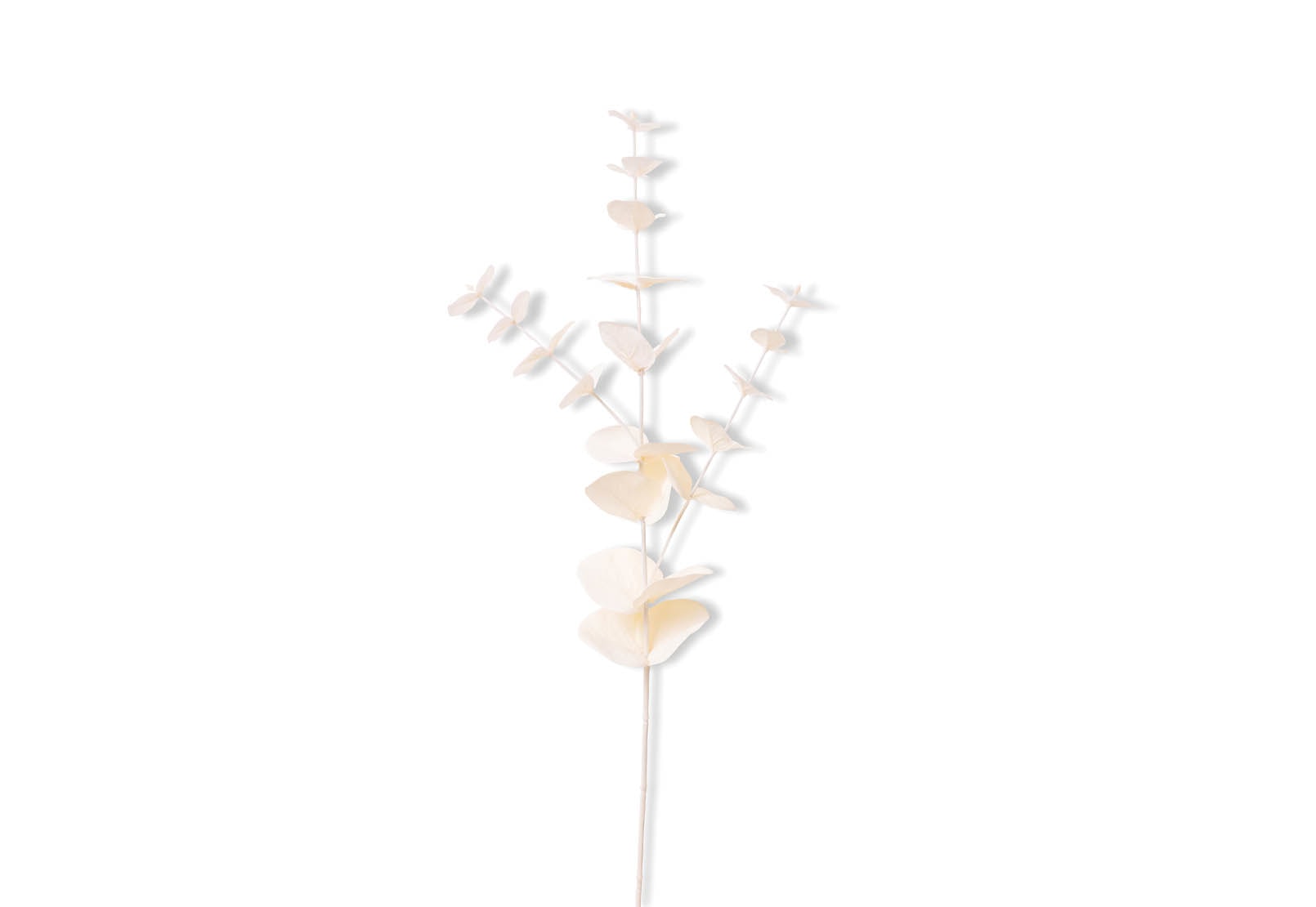 EUCY 67cm Stem – image 2 of 4