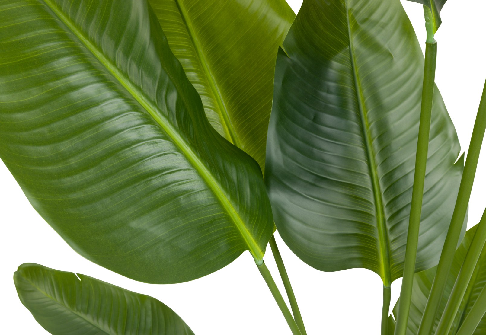 SYLPHA Traveller Palm Faux Floor Plant 150cm – image 2 of 3