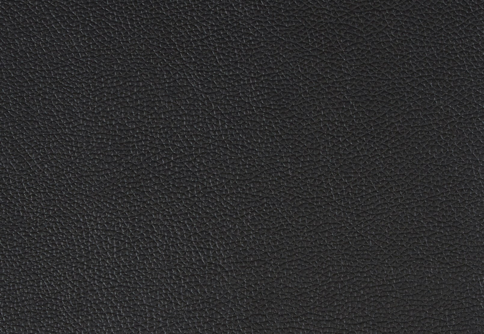 WILCOT LEATHER 2 Seater Sofa – image 5 of 5