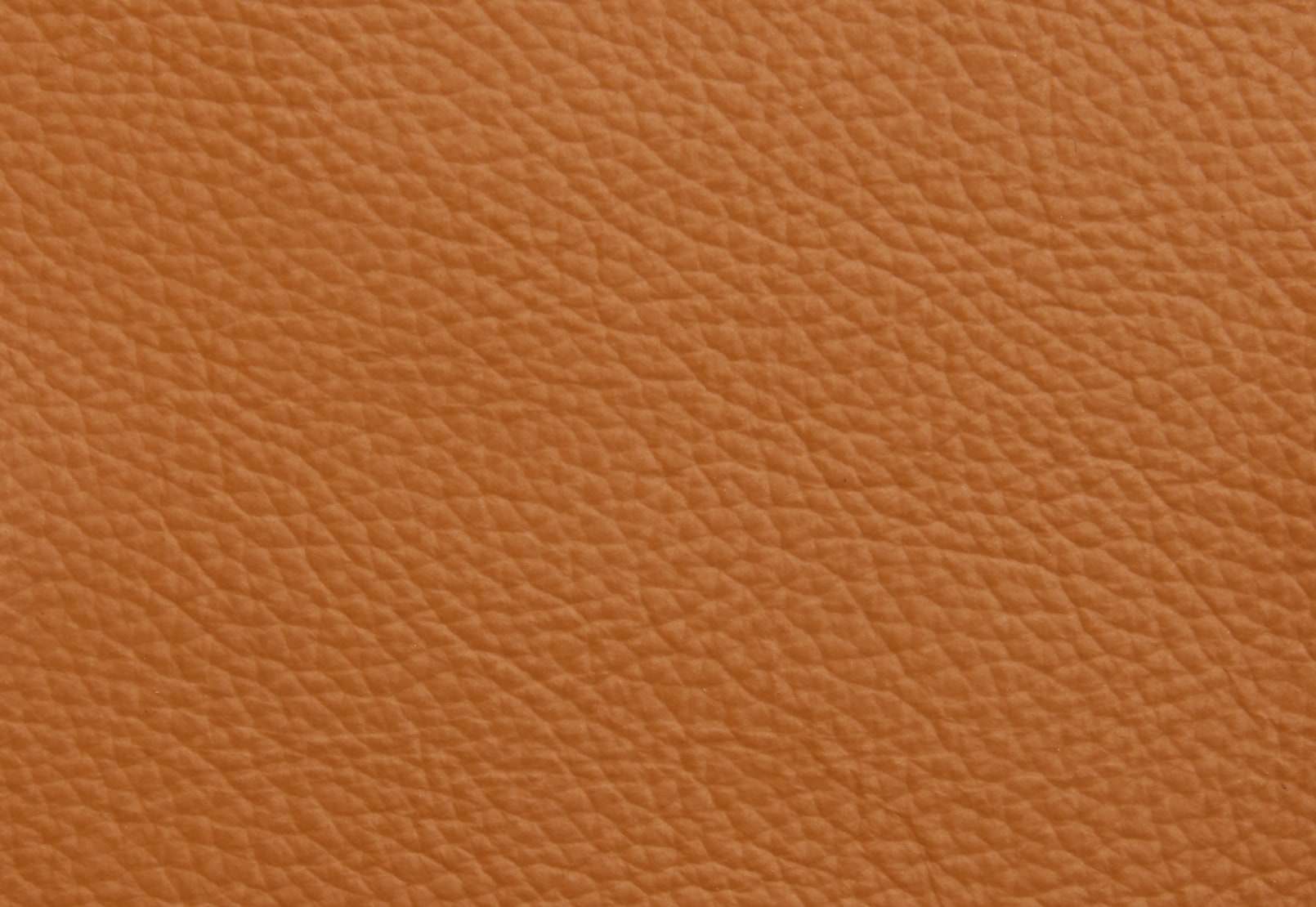 CHAFFEE LEATHER 2 Seater Sofa – image 4 of 4