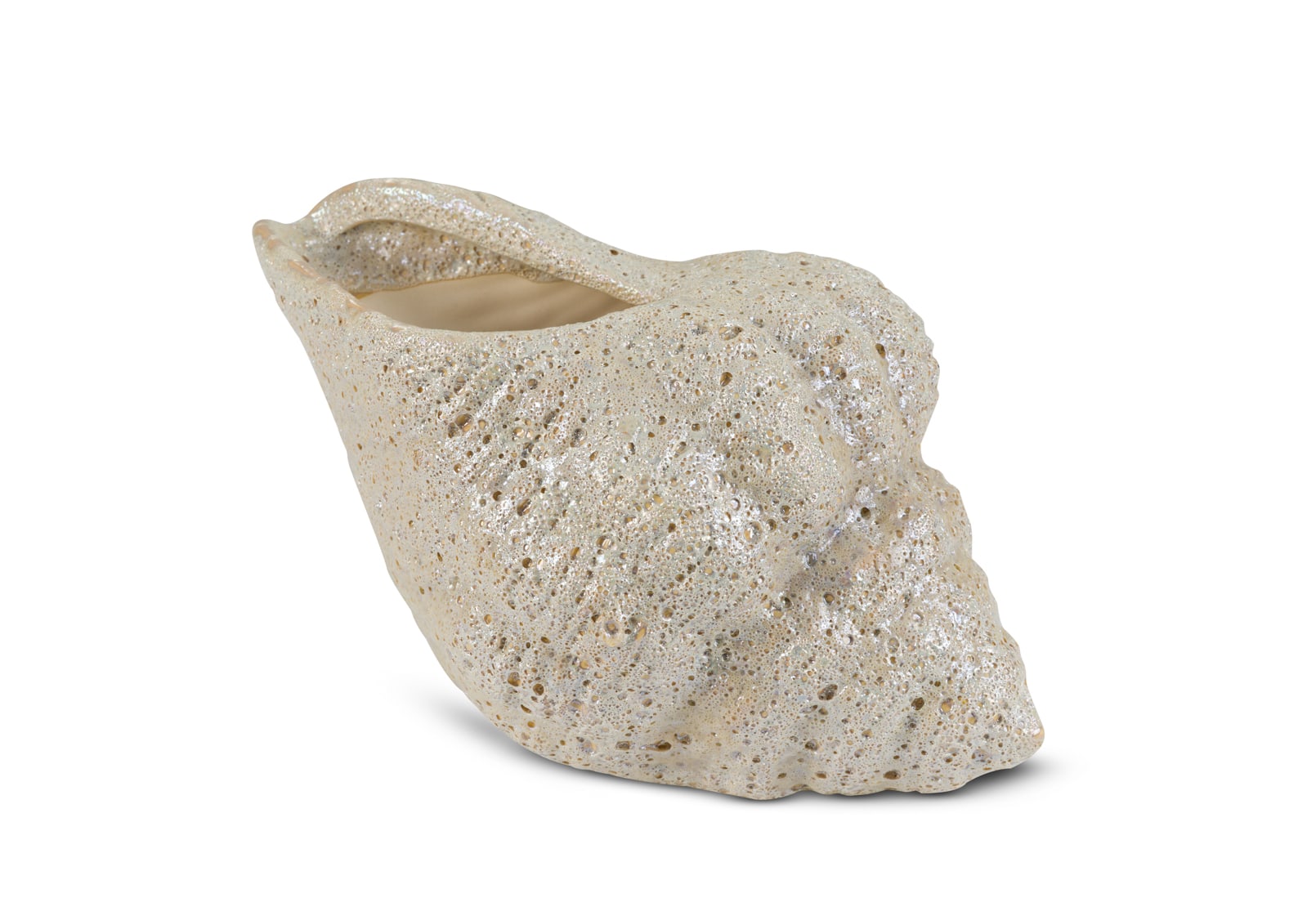 ECOSTRA CERAMIC Sea Shell 13cm – image 1 of 5