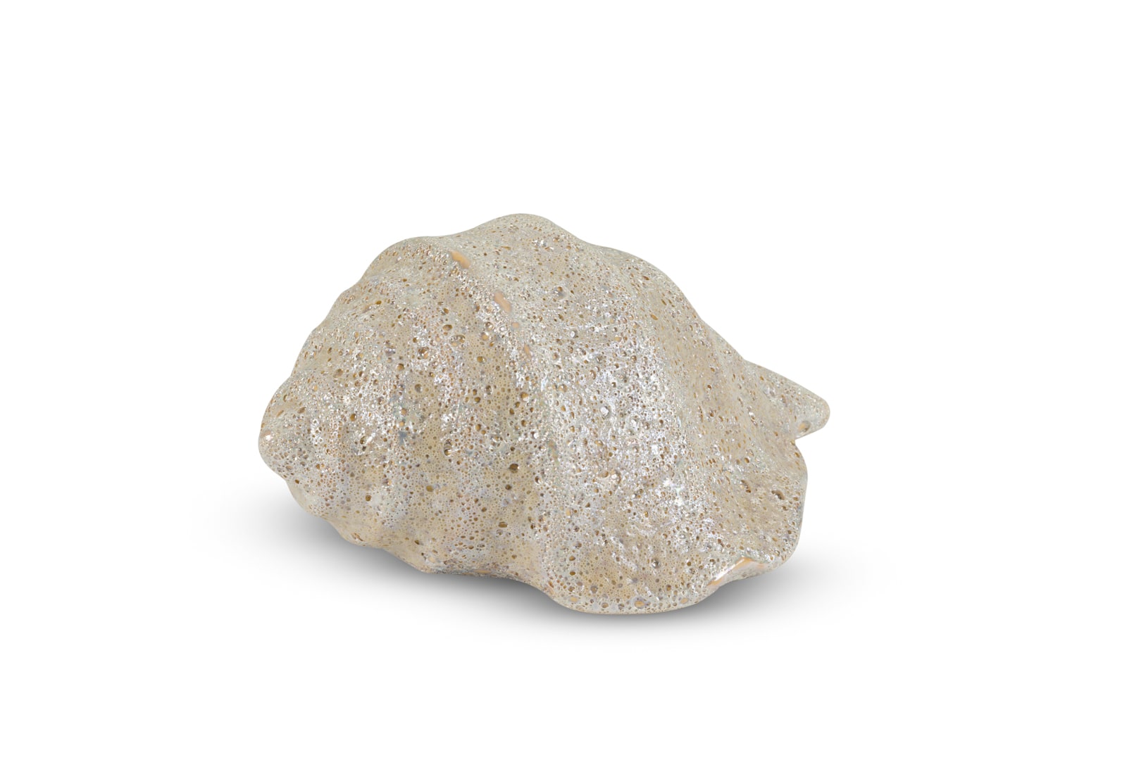 LEAFORA CERAMIC Sea Shell 9cm – image 2 of 6