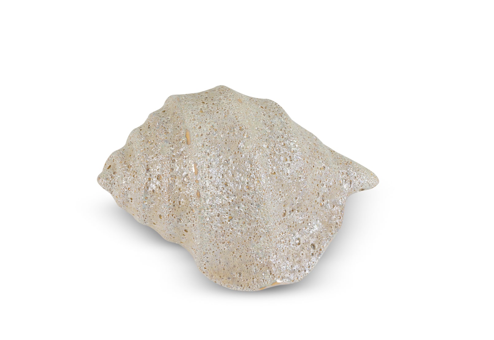 LEAFORA CERAMIC Sea Shell 9cm – image 3 of 6