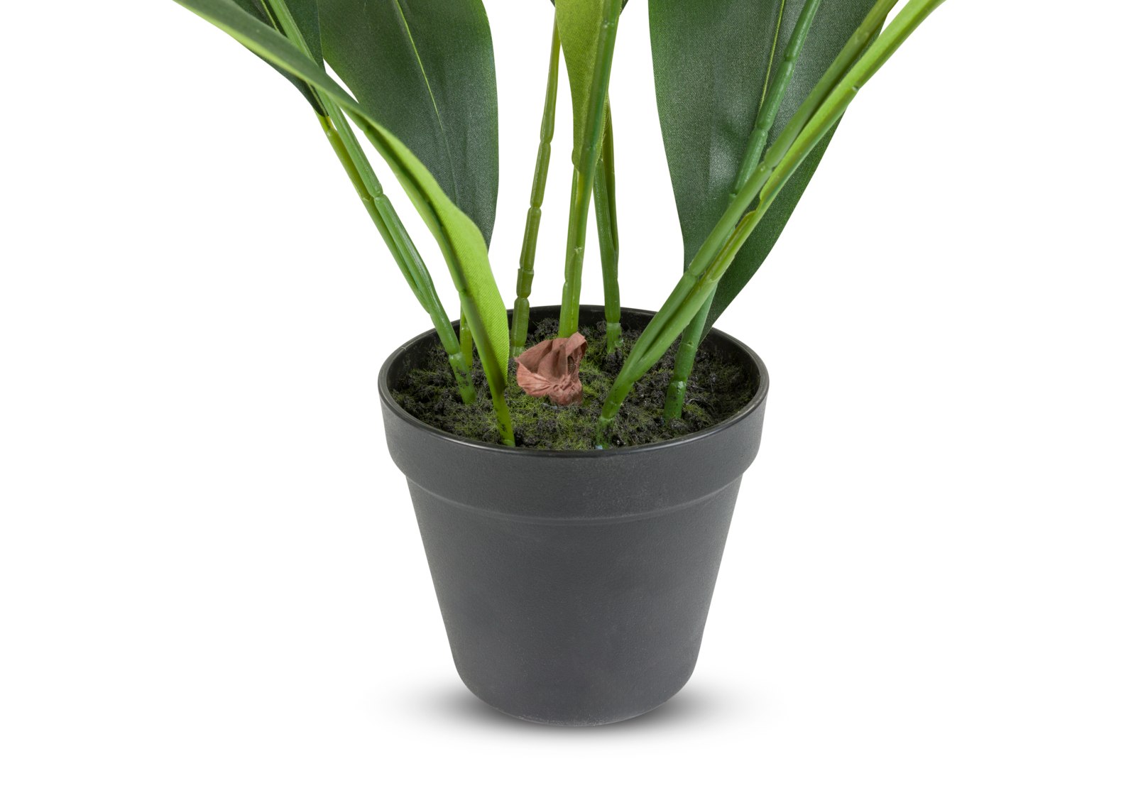 ASPIDISTRA Artificial Plant 60CM – image 4 of 4