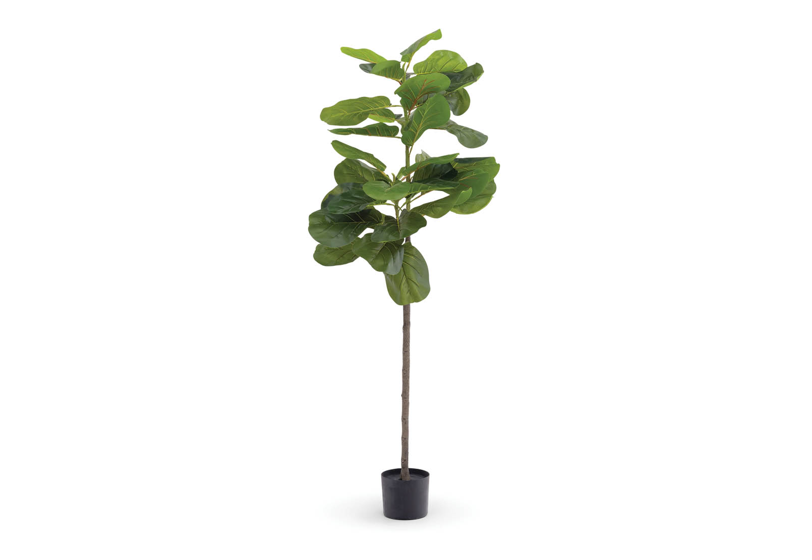FINLEY 150cm Tree – image 1 of 4