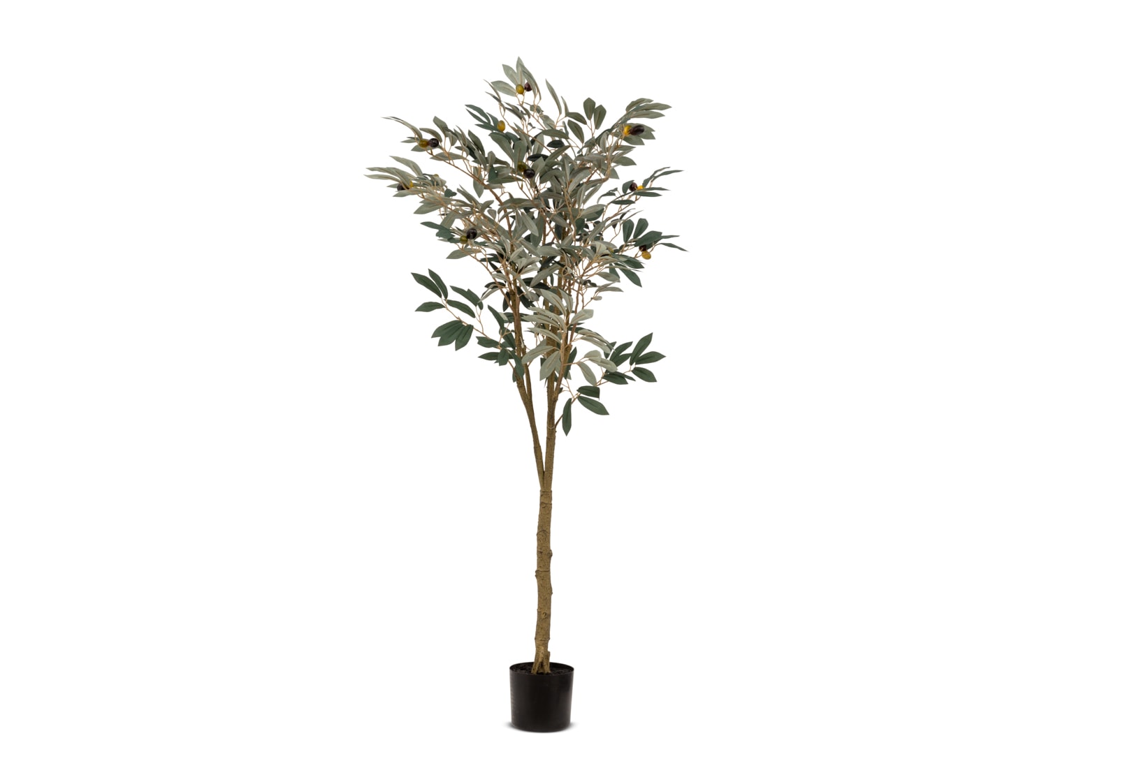 OLIVE TREE 150CM Tree – image 1 of 4