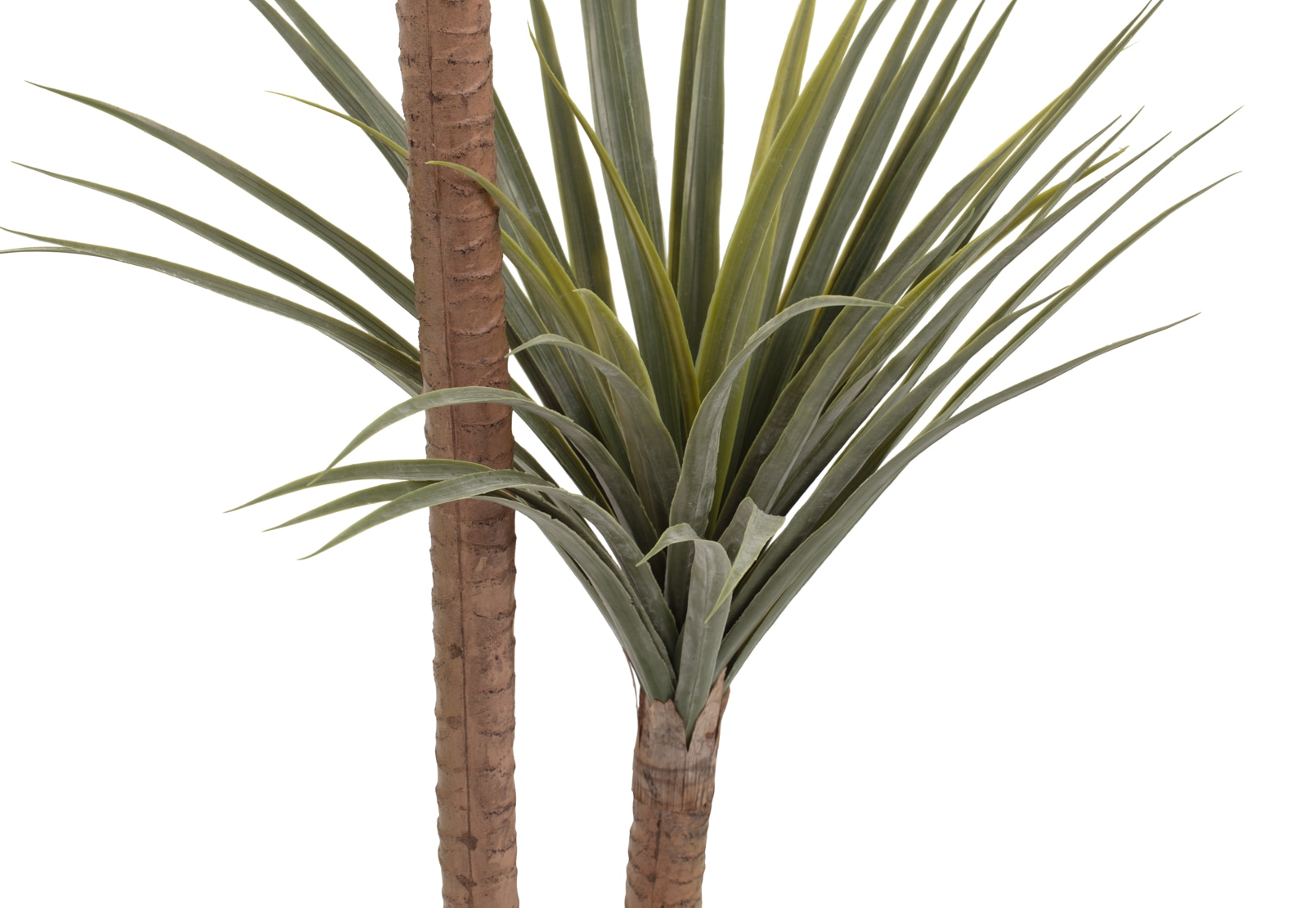 DRACAENA TREE 140CM – image 2 of 3