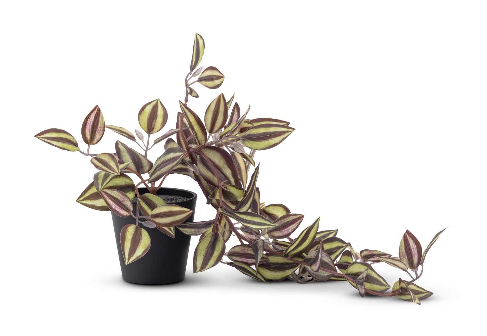 ARTIFICIAL ZEBRINA Plant – image 1 of 4