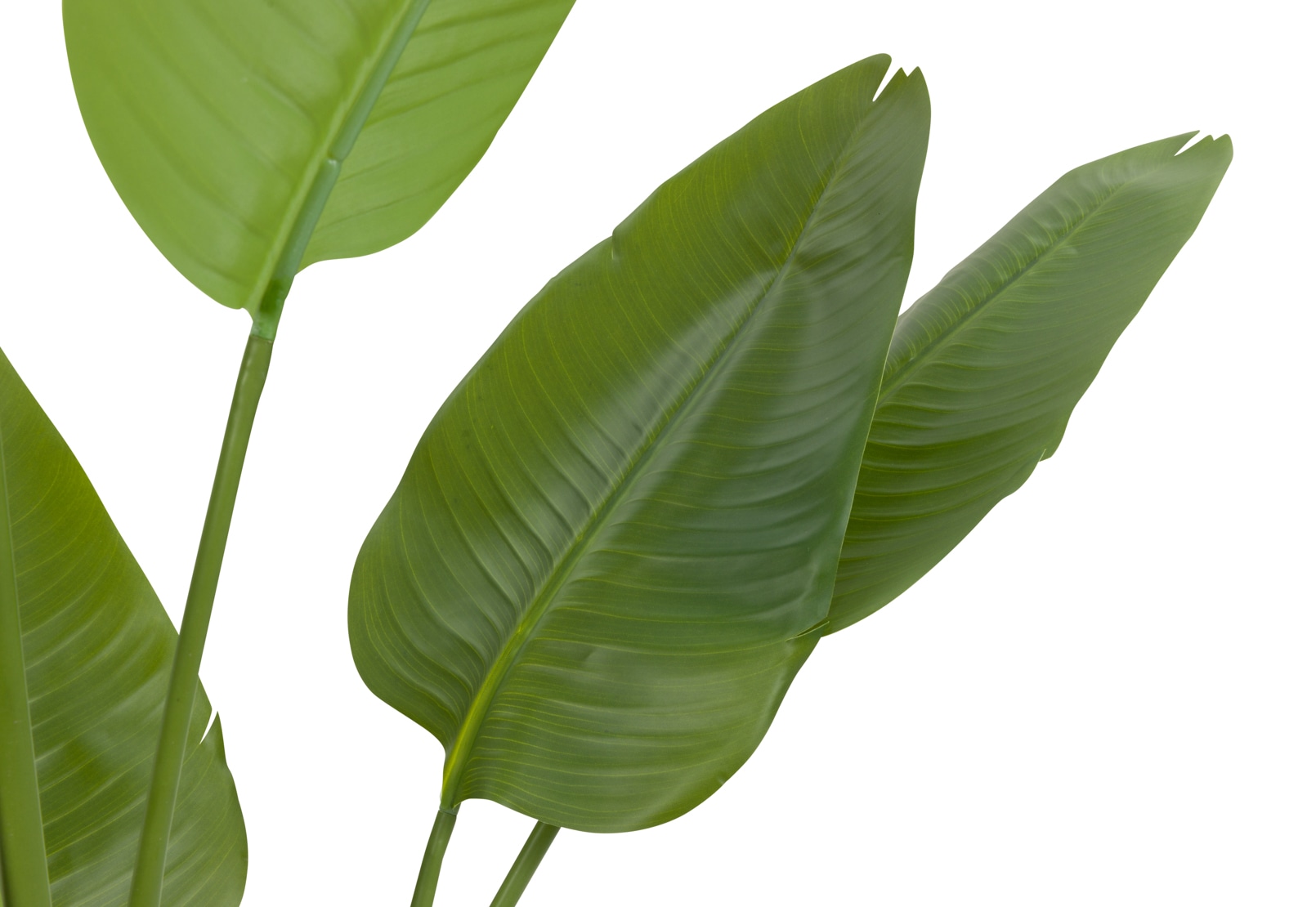 SYLPHA Traveller Palm Faux Floor Plant 180cm – image 3 of 4