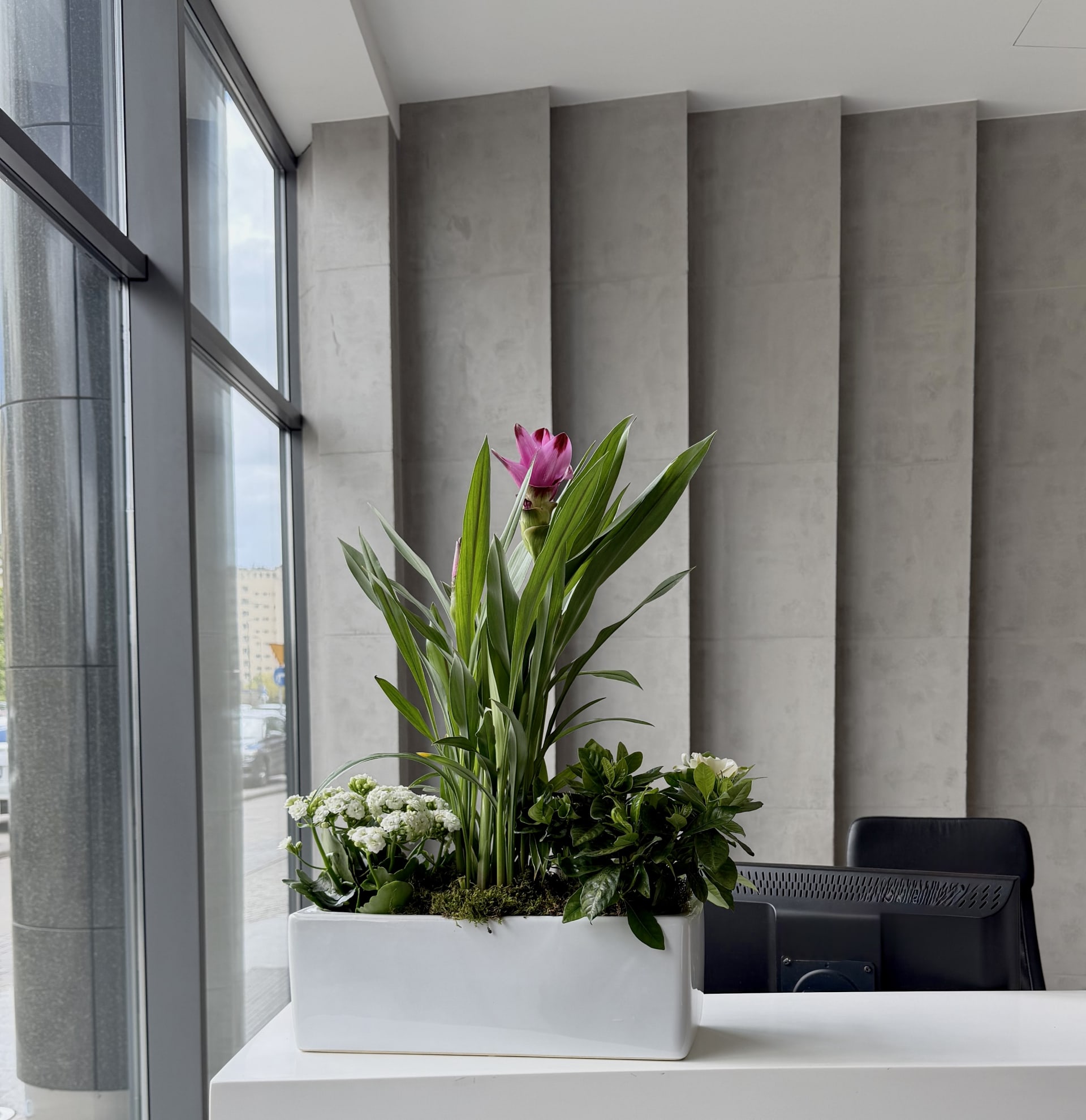 Potted Plant Care