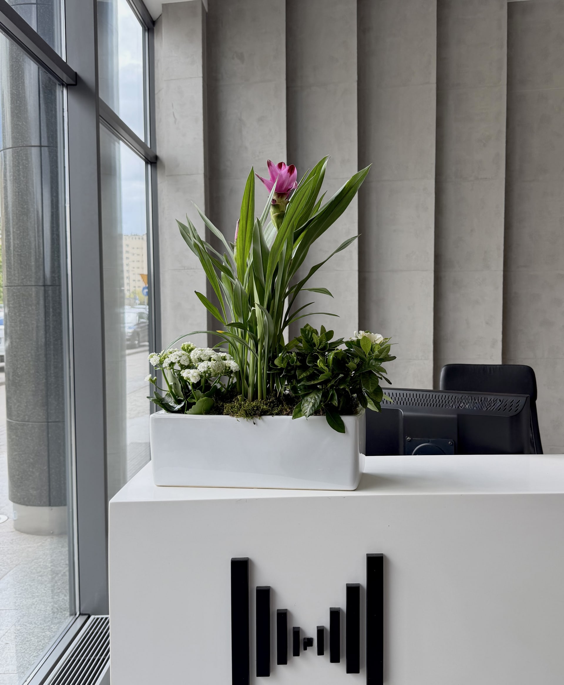 Office Plant Care